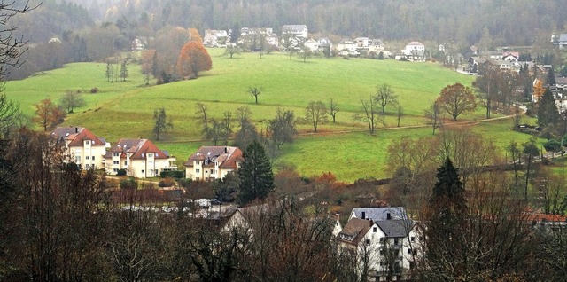 Der Brhl, vom Rmerberg auf der anderen Talseite aus gesehen   | Foto: Silke Hartenstein