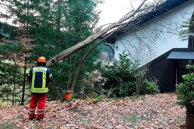 Baumstrze im Elztal - auch gegen ein Feuerwehrauto