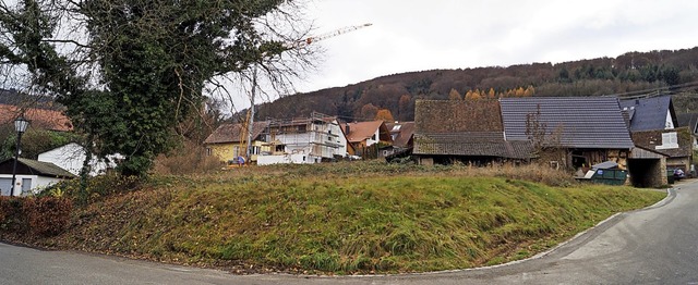 Auf der grnen Wiese zwischen Ernst-Sc... zwei Reihenhusern errichtet werden.   | Foto: Silke Hartenstein