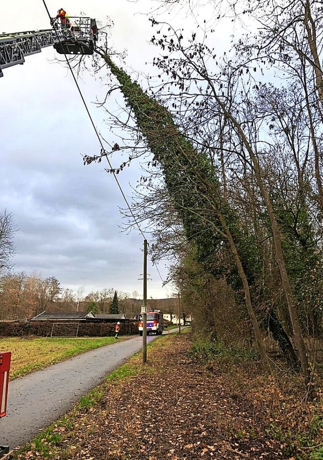 An diesem Weg fllte die Wehr einsturzgefhrdete Bume.   | Foto: Utke