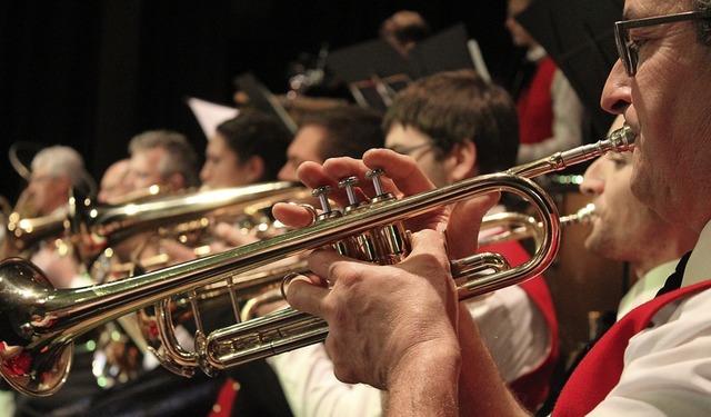 Das Trompetenregister kam besonders bei den Wagner-Stcken zur Geltung.  | Foto: Erich Krieger