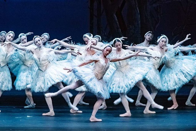 Eine Szene aus der Ballettauffhrung &...en - wie Schwanensee&quot; in Hamburg.  | Foto: dpa