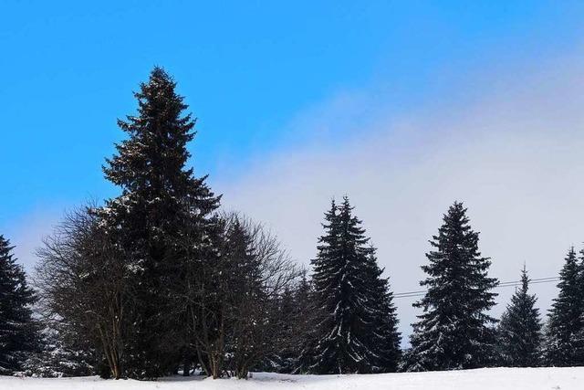 Fotos: Winter auf dem Feldberg