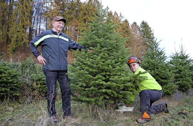 Gnter Bhler (rechts) und sein Vater ...sich  auf den Christbaum-Verkauf vor.   | Foto: Kaiser