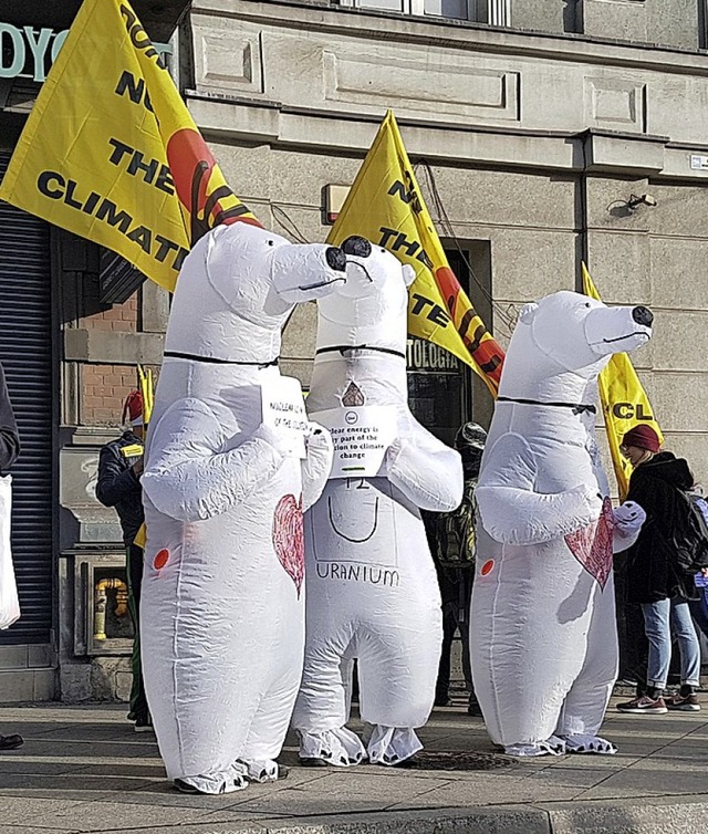 Aktivisten in Eisbrenkostme beim Klimagipfel  | Foto: DPA
