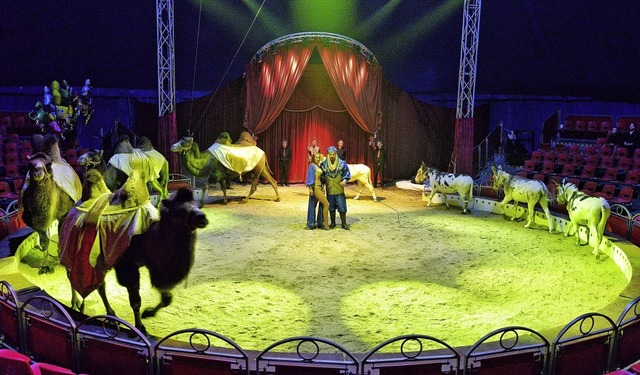 Zum 20. Mal beschert der Zirkus den Lrrachern Weihnachten in der Manege.   | Foto: WeihnachtscircuS