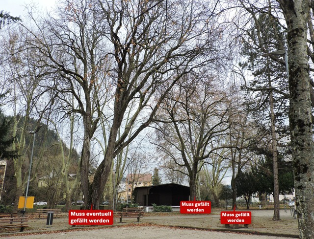 Der Park an der Schlettstadtallee wird sein Anlitz verndern.   | Foto: Foto/Grafik: Sylvia Sredniawa/BZ