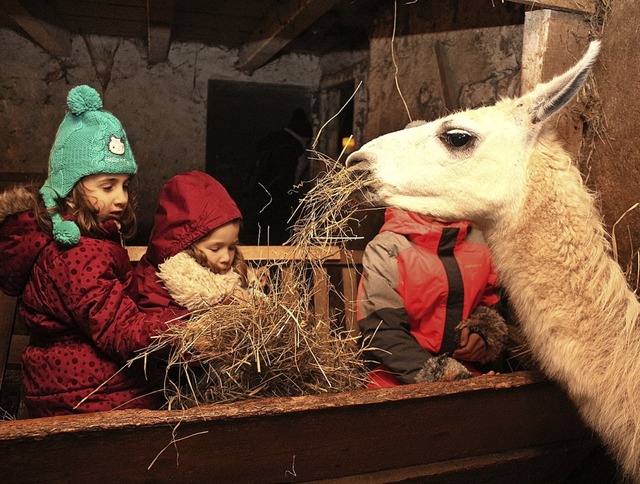 Tierische Freude hatten die Kleinsten ...gt, neue Freundschaften zu schlieen.   | Foto: Anja Bertsch