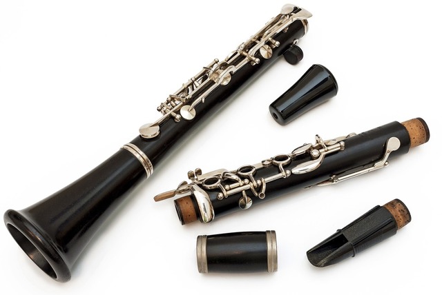 Das Vogtland ist berhmt fr  Klarinetten und andere Instrumente  | Foto: rdnzl  (stock.Adobe.com)