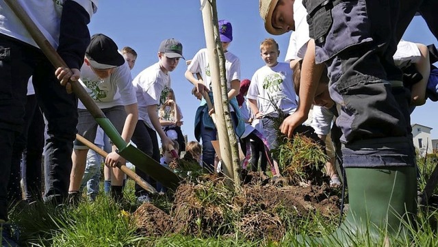 Kinder beim Pflanzen: Viele Spaten graben schneller.  | Foto: Plant for the Planet