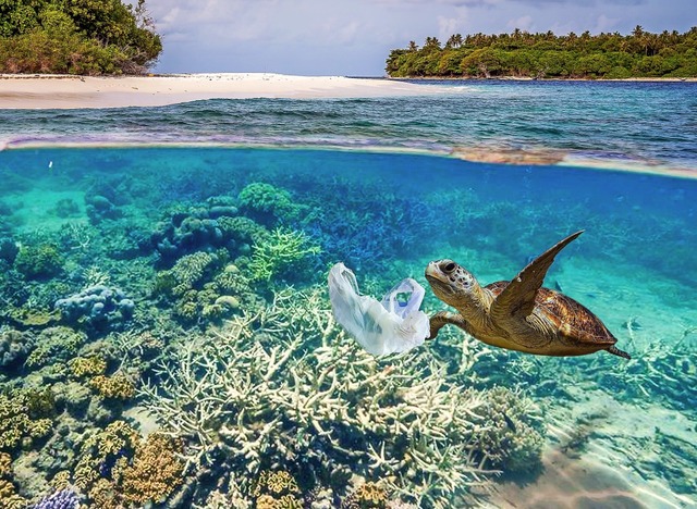 Eine Plastiktte zerstrt das Bild vom Unterwasserparadies.   | Foto: adobe.com
