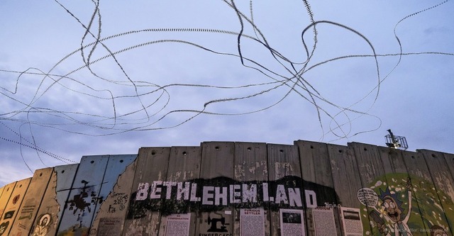 Mauersegler ber der Grenzmauer in Bethlehem, die Knstler Banksy bemalt hat.   | Foto: Lothar Schiffler