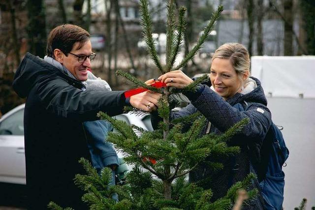 Fotos: Weihnachtsbaum-Aktion fr BZ-Werbekunden in Zarten