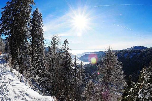 Fotos: Winterwunderland im Hochschwarzwald