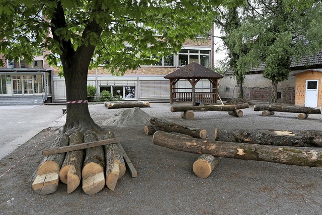 <ppp> </ppp>Ludwig-Frank-Schule in Nonnenweier    | Foto: Christoph Breithaupt