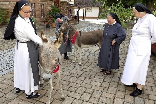 Eselreiten bei den Franziskanerinnen