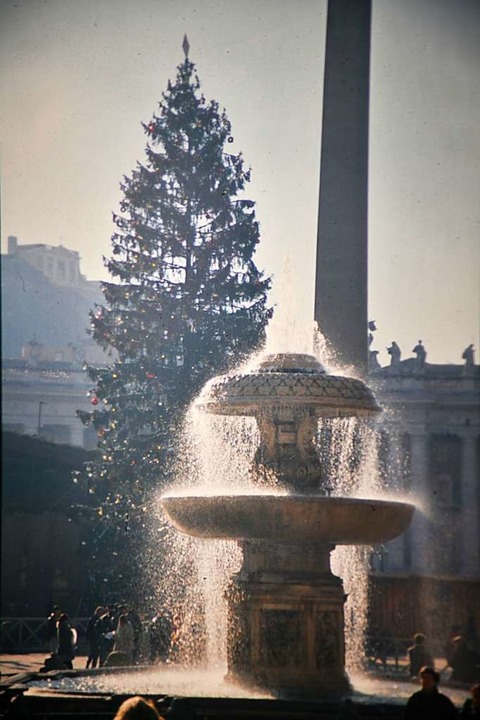 Die Weihnachtstanne auf dem Petersplatz in Rom mit einem römischen Brunnen.  | Foto: Karl Braun