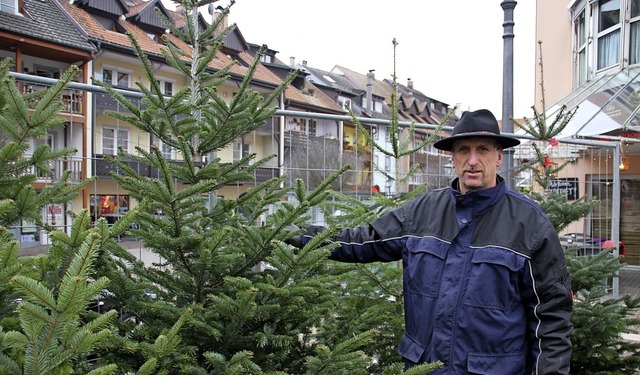 Reinhold Bchle zeigt seine Christbum...r im Wallgraben in Waldshut verkauft.   | Foto: Vivien Ebner