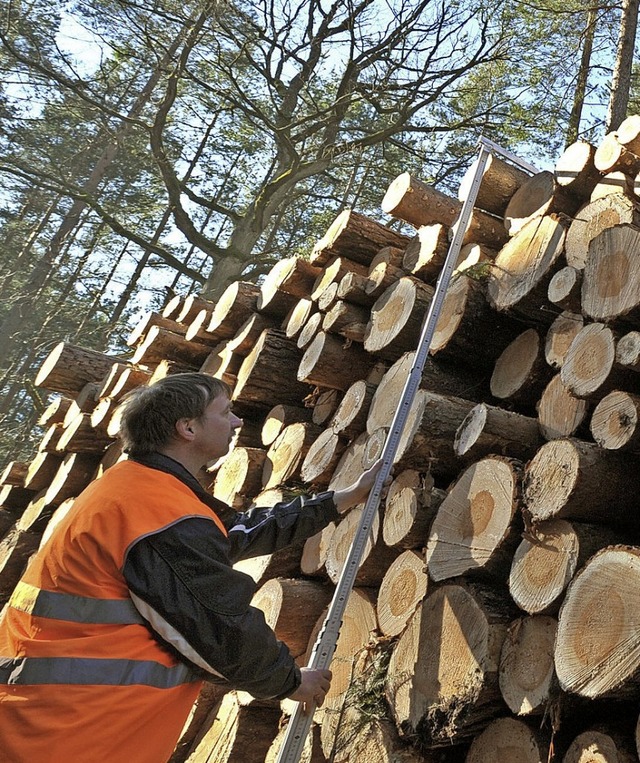 Mit dem Verkauf von Holz werden derzeit noch Gewinne gemacht.  | Foto: dpa