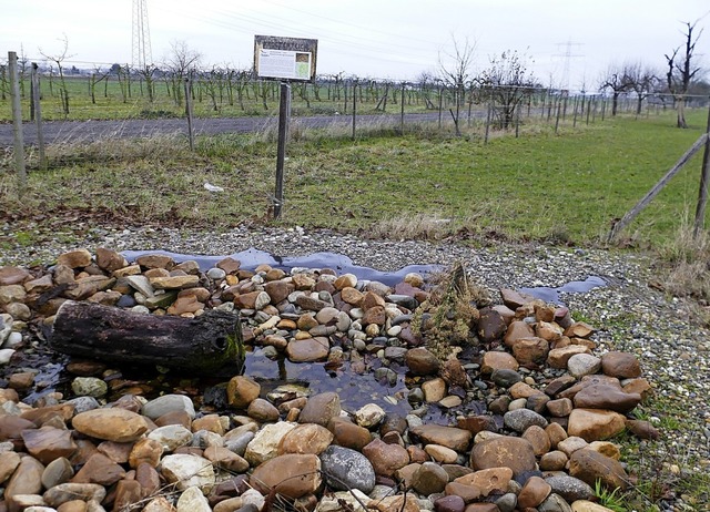 Das ist eines der kleinen Biotope bei ... fr  die Kreuzkrte herrichten will.   | Foto: Langelott