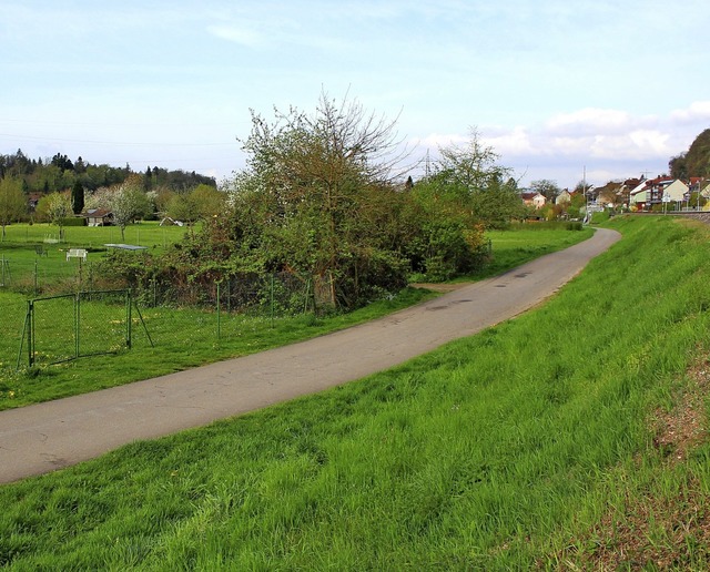 Hier an der Rheinbadstrae wird der gr...rer und Wanderer wird erahlten bleiben  | Foto: Rolf Reimann