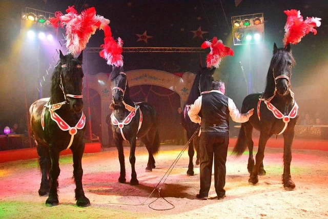 Pferde gehren fest zum Programm des L...hnachtscircus, hier ein Bild von 2017.  | Foto: Barbara Ruda