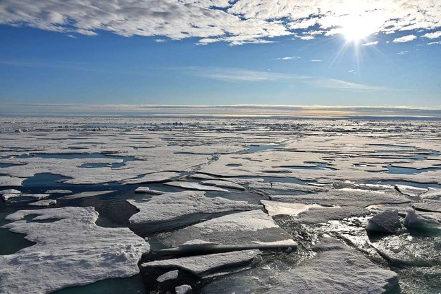 Einer der Faktoren, der den Winterverl...bestimmen soll: Meereis in der Arktis.  | Foto: dpa