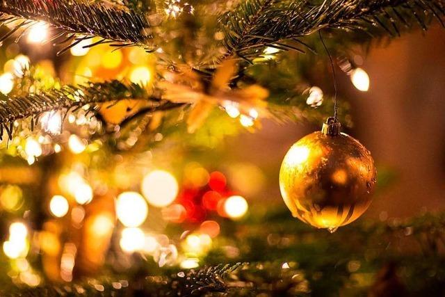 Kanderner Revierfrster erklrt, warum Weihnachtsbume kologisch unbedenklich sind