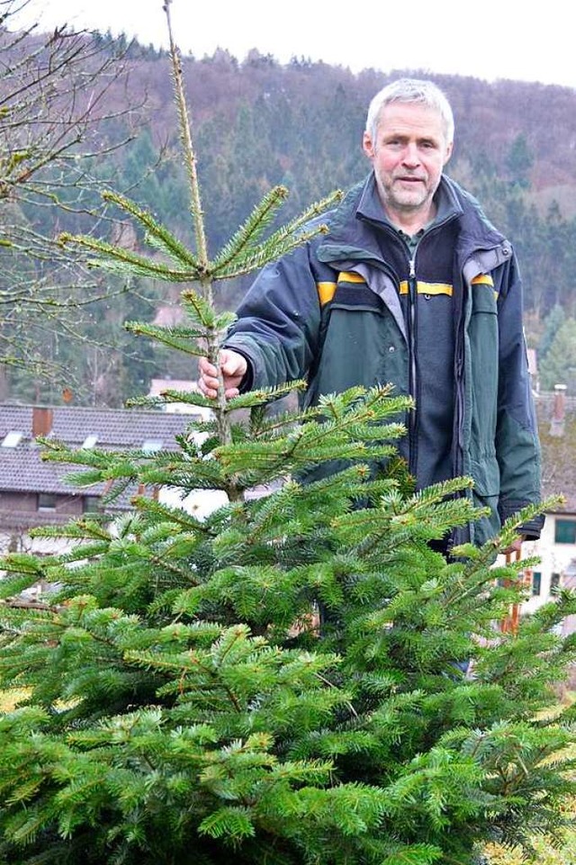 Reiner Dickele mit seinem Weihnachtsba...rin lsst sich der Baum gut bewssern.  | Foto: Moritz Lehmann