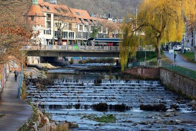 Das historische Wehr am Schwabentor muss weg – fr eine Fischrampe