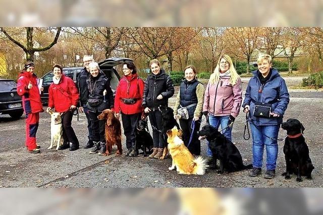 Der Hund als wichtiger Sozialpartner in der Familie