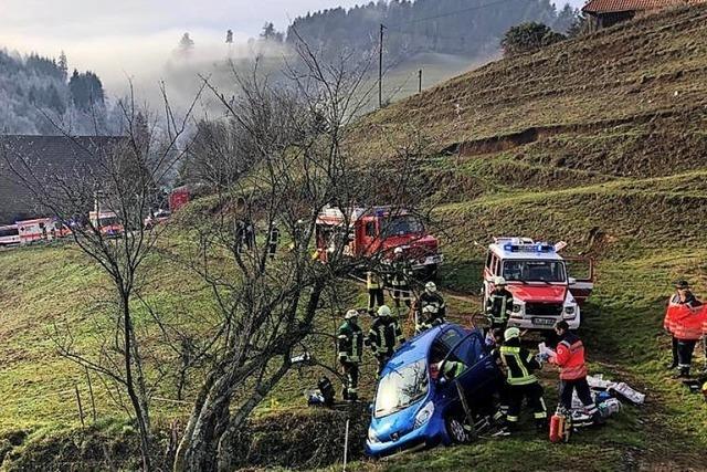 Glck im Unglck: Auto rollte Abhang hinunter