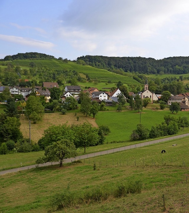 Sorgte fr Konflikte: Das Baugebiet Mittelberg-Tal in Feuerbach   | Foto: Maier