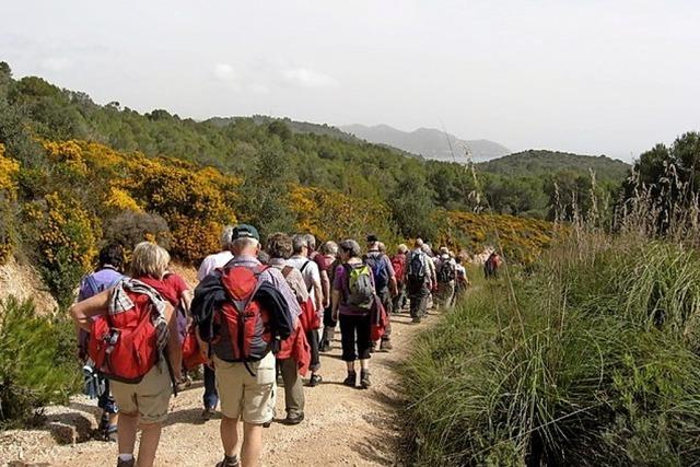 Von der Nachmittagswanderung bis zur Wanderwoche auf Mallorca