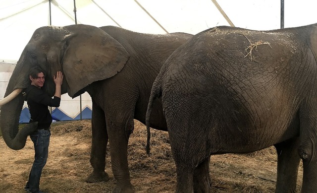 Tierlehrer Erwin Frankello und seine beiden Elefantendamen   | Foto: Cornelia weizenecker