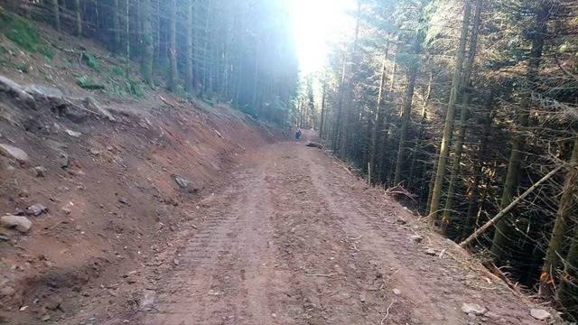 Der Prsident-Thoma-Weg war schmal und...reit und fr Forstfahrzeuge ausgelegt.  | Foto: Sebastian Klaar