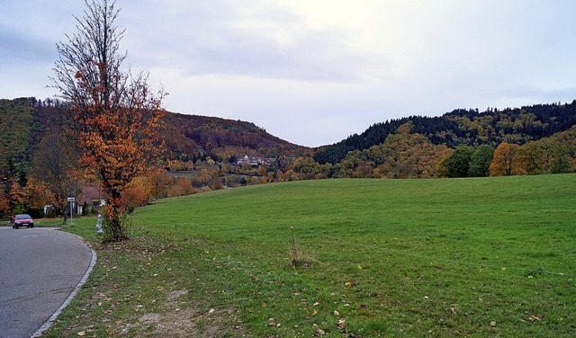 Die geplante Bebauung des Brhl in Badenweiler sorgt weiterhin fr Diskussionen.  | Foto: Silke Hartenstein