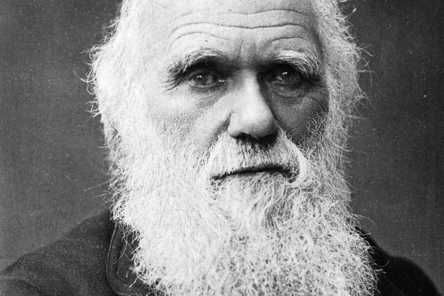 Hervorragende Neubersetzung von Darwins 