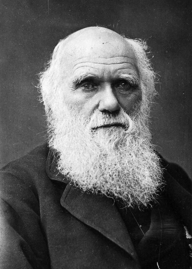 Geduldige Przision und freundlicher Ton: Charles Darwin  | Foto:  DPA Deutsche Presse-Agentur GmbH