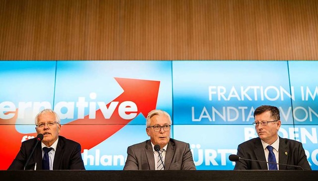 Wieder interne Verwerfungen in AfD-Landtagsfraktion Stuttgart  | Foto: dpa