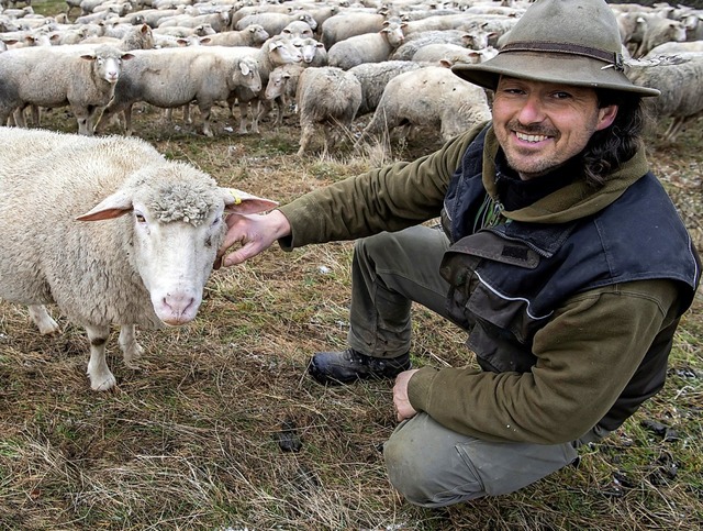 Schfer Thilo Studer mit seiner Herde  | Foto: DPA