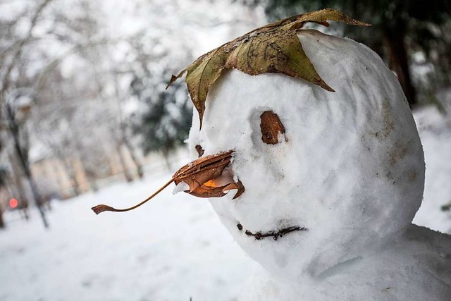 Wussten Sie&#8217;s? Am 18. Januar ist der Welttag des Schneemanns.  | Foto: Frank Rumpenhorst