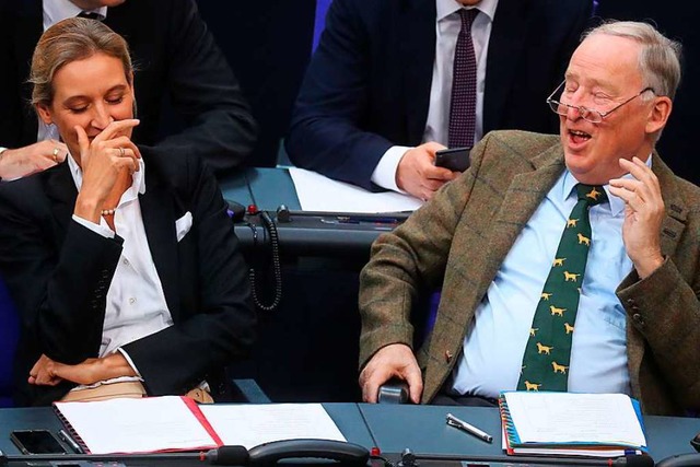 Die Vorsitzenden der AfD-Bundestagsfra...der Gauland, im Bundestag (Archivbild)  | Foto: Kay Nietfeld