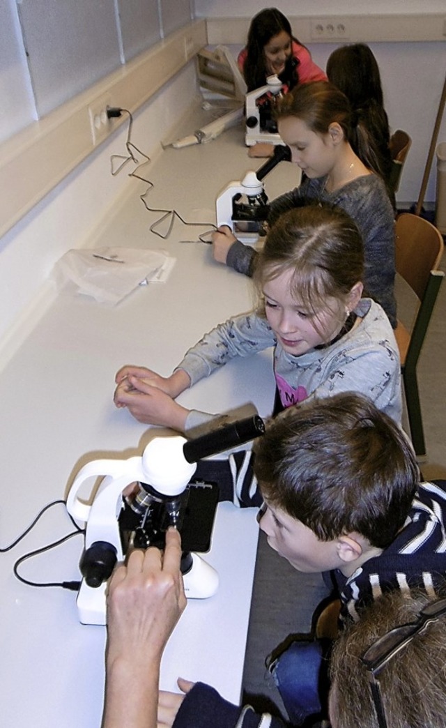 Am Mikroskop der Natur auf der Spur   | Foto: Hector Kinderakademie