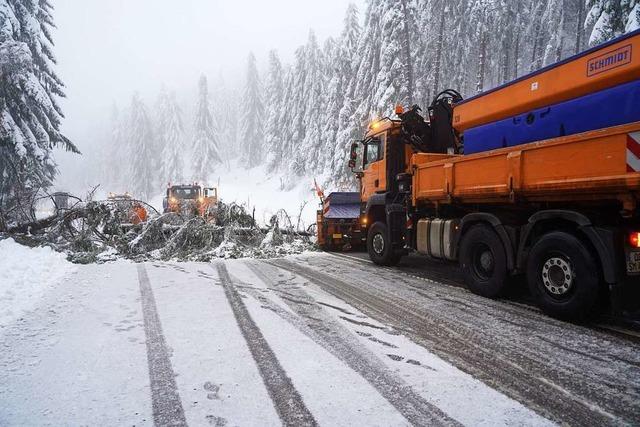 Tauwetter sorgt fr akute Schneebruchgefahr: viele Straen gesperrt