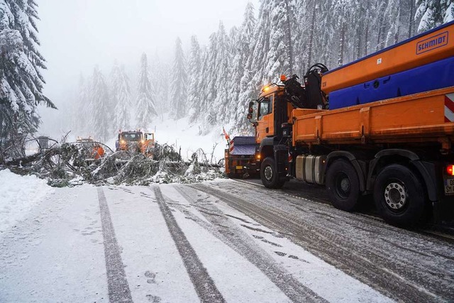 Ein Rumfahrzeug steht auf der Schwarz... einem auf die Strae gestrzten Baum.  | Foto: dpa