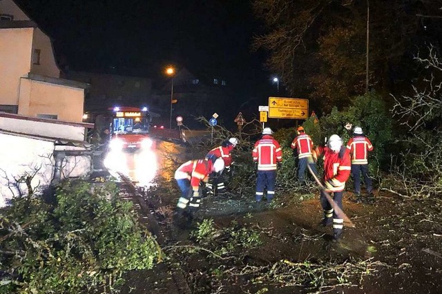 In Laufenburg hatte in Hhe des Hauses...zter Baum die L154 komplett blockiert.  | Foto: Feuerwehr