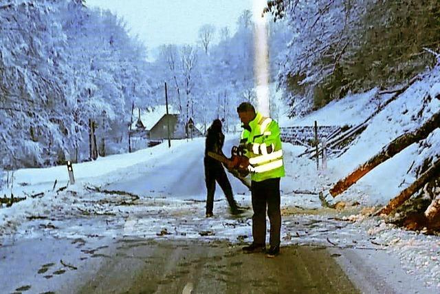 Schneebruch-Hindernis beseitigt