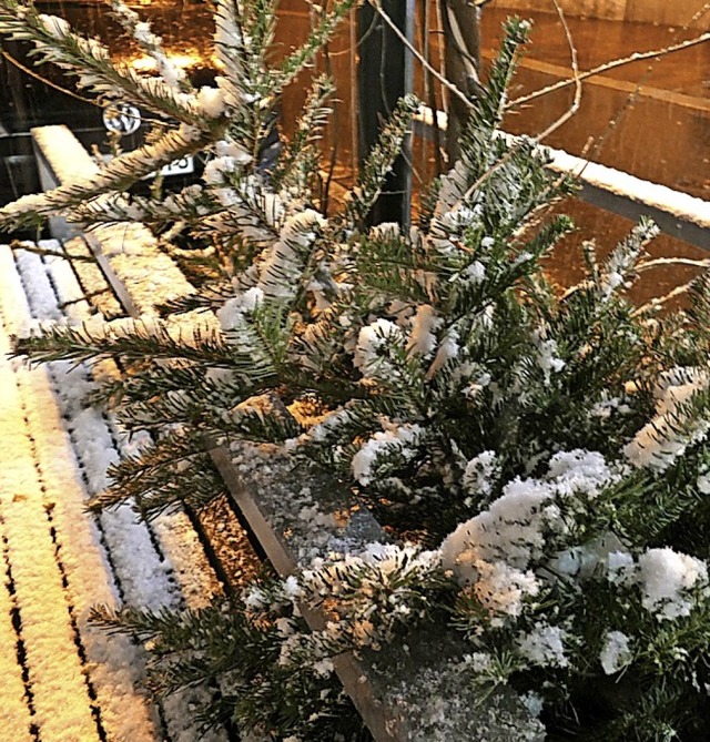 Ein mit Schnee bedeckter Tannenbaum   | Foto: Gerigk