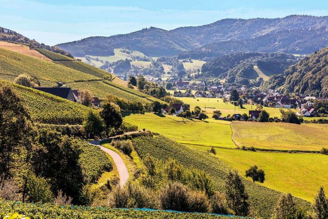 Das Glottertal ist die Heimat der Metzgerei Reichenbach.  | Foto: Metzgerei Reichenbach